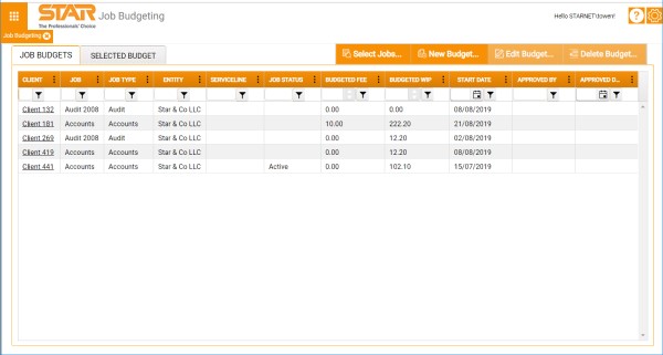 Job Budgets tab