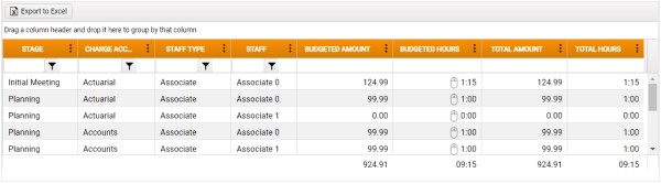 Budget Details grid with movable column headers